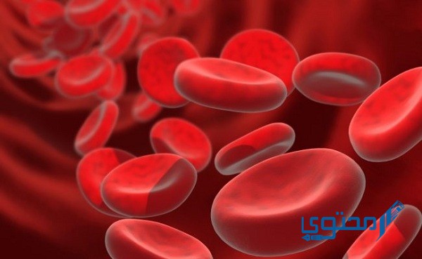 علاج نقص الصفائح الدموية بالغذاء