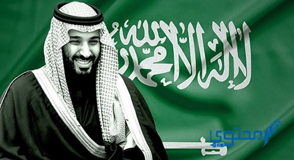 صيغة برقية لولي العهد محمد بن سلمان