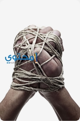 الحبل في المنام