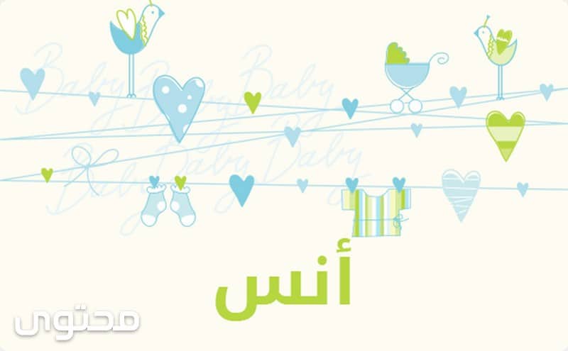 معنى اسم أنس