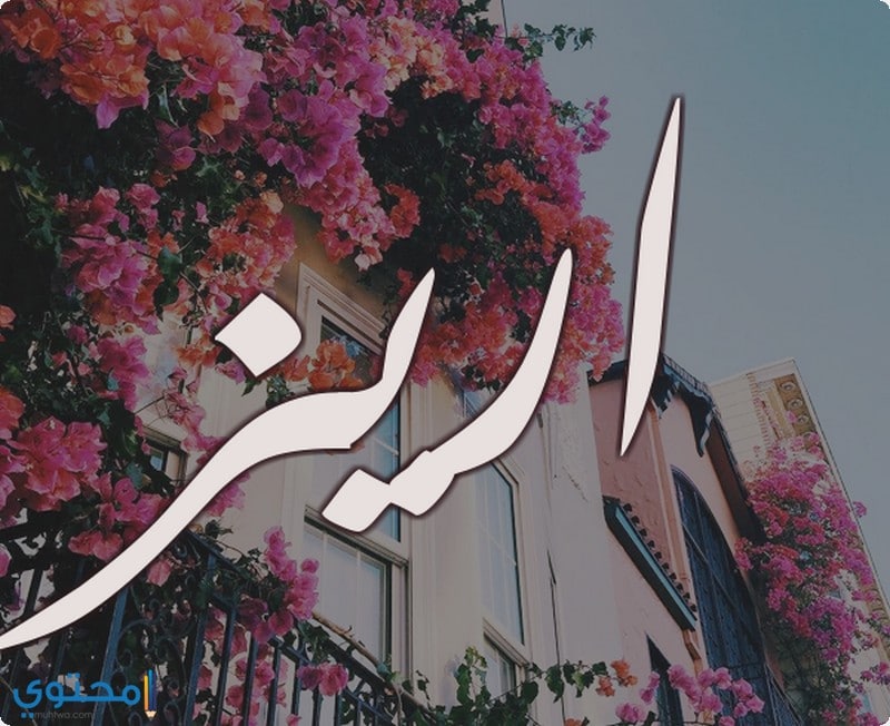 معنى اسم اريز