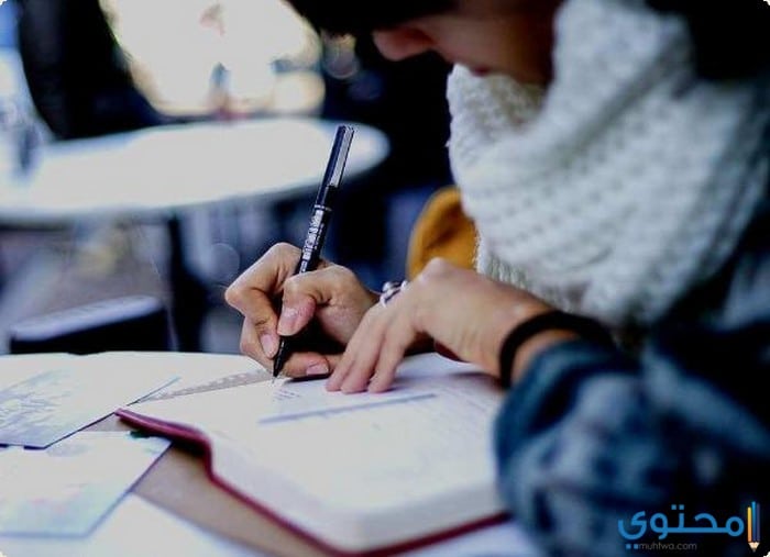 أفضل العبارات القصيرة