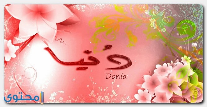 معنى اسم دنيا Donia و14 من صفات حاملة هذا الاسم