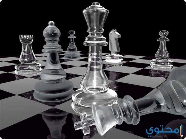 الشطرنج في المنام