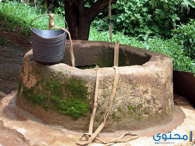 البئر في المنام