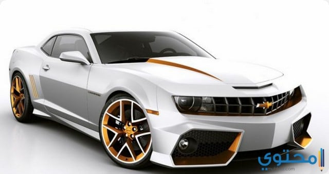 السيارة البيضاء في المنام للرجل