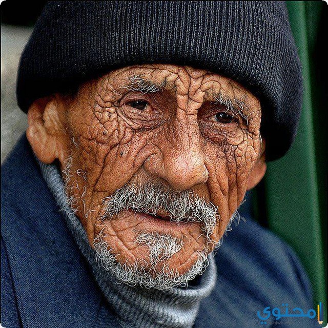 العجوز في المنام