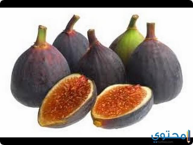 الجميز في المنام