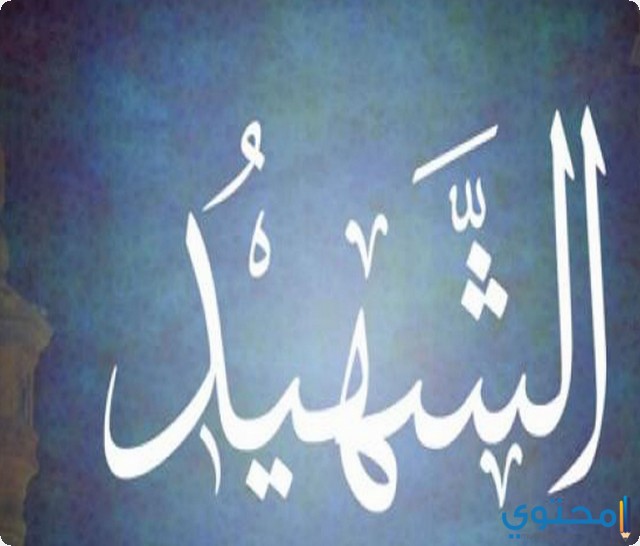 الشهيد في المنام