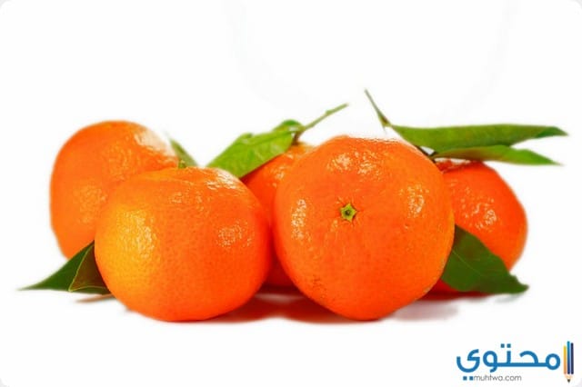 اليوسفي في المنام