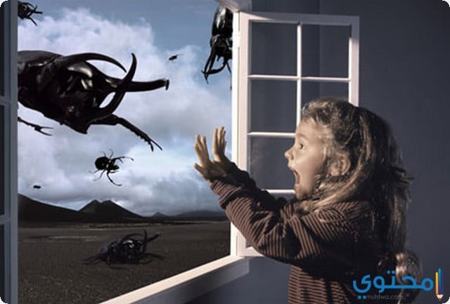 تتحكم في أحلامك