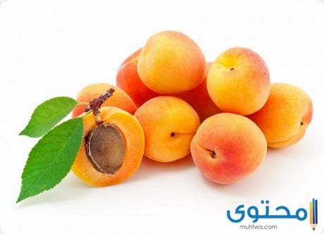 المشمش في المنام