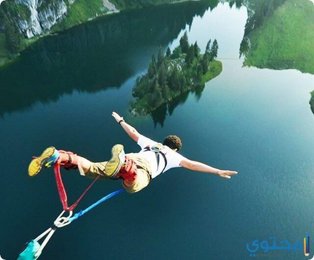 تفسير رؤية النط من مكان عالي