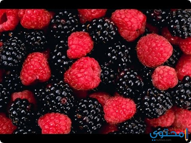 التوت في المنام