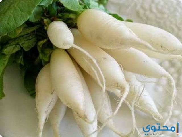 الفجل الأبيض في المنام للمتزوجة