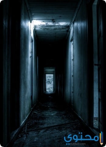 السرداب في المنام