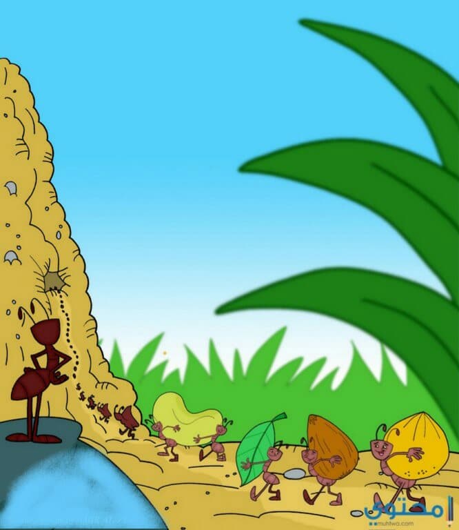 النبي سليمان والنمل