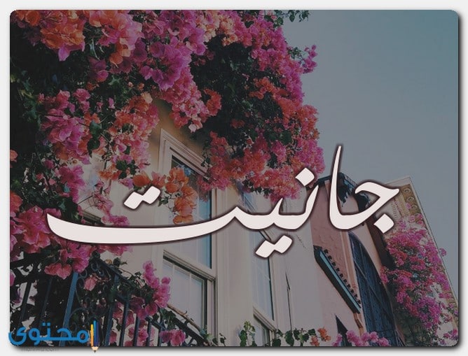 اسم جانيت