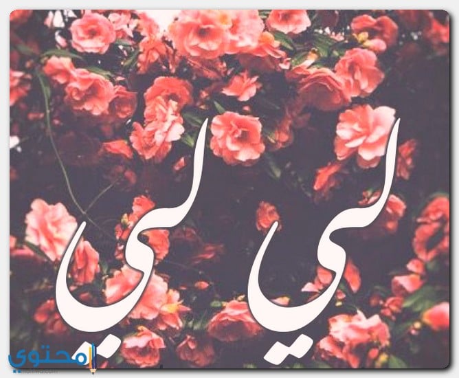 معنى اسم لي لي