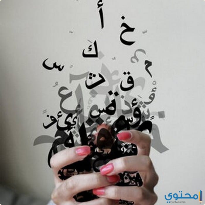 أشهر الأمثال الشعبية للعظماء