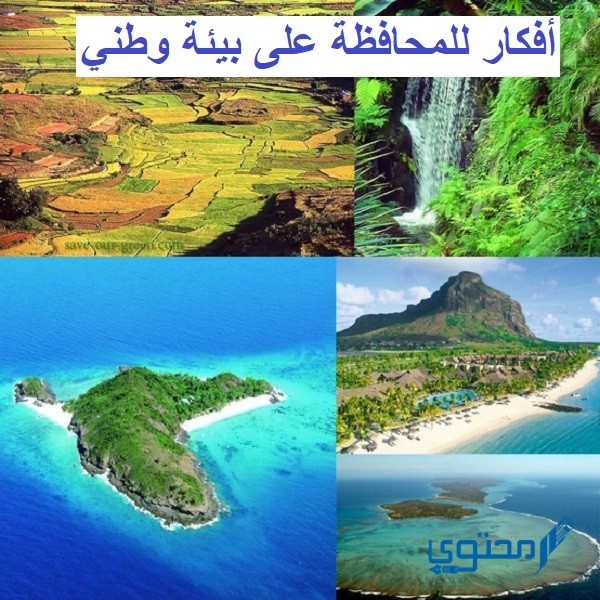 أفكار للمحافظة على بيئة وطني