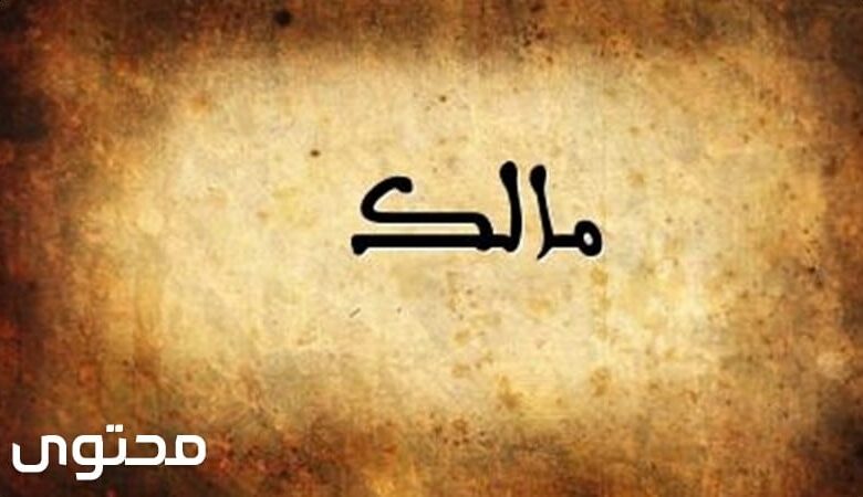 معنى اسم مالك Malk في اللغة والقرآن وصفات صاحب الاسم