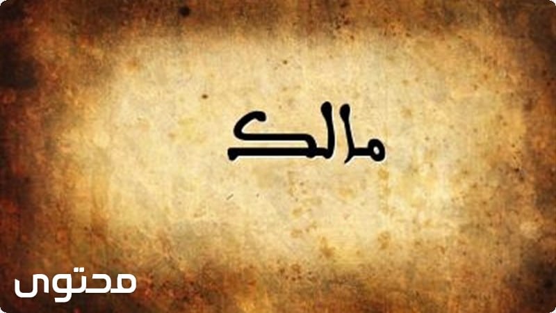 معنى اسم مالك