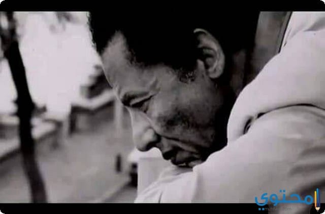 أقوال وحكم مصطفي محمود