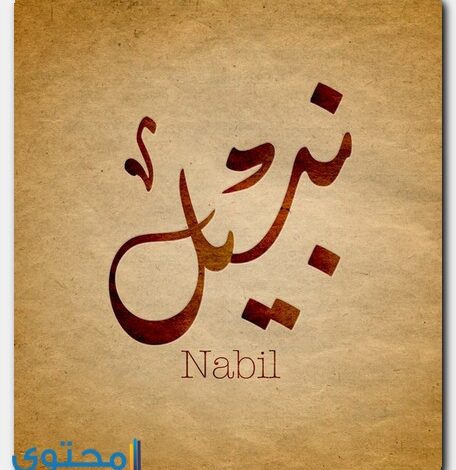 معنى اسم نبيل وصفات حامل الاسم Nabil