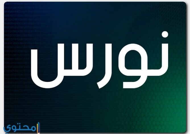 معنى اسم نورس وصفات شخصيتها Noras