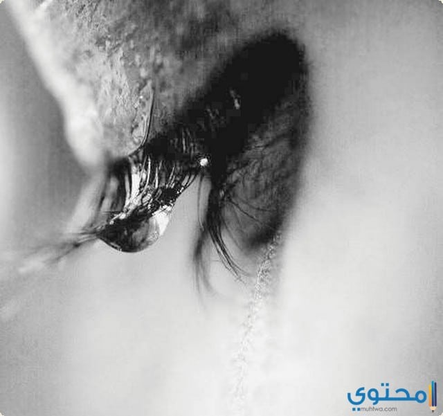 كلمات حزينة تبكي