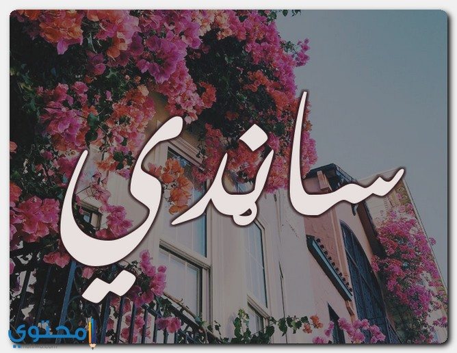 معنى اسم ساندي