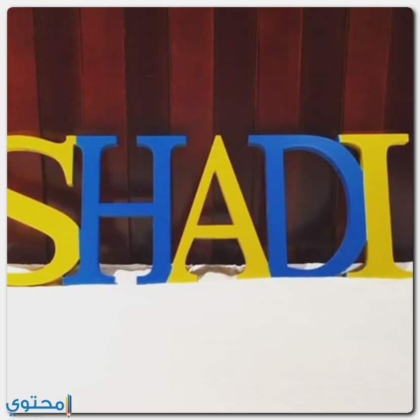 معنى اسم شادي