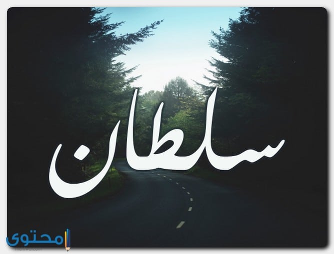 معنى اسم سلطان