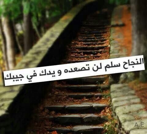 أقوال في النجاح