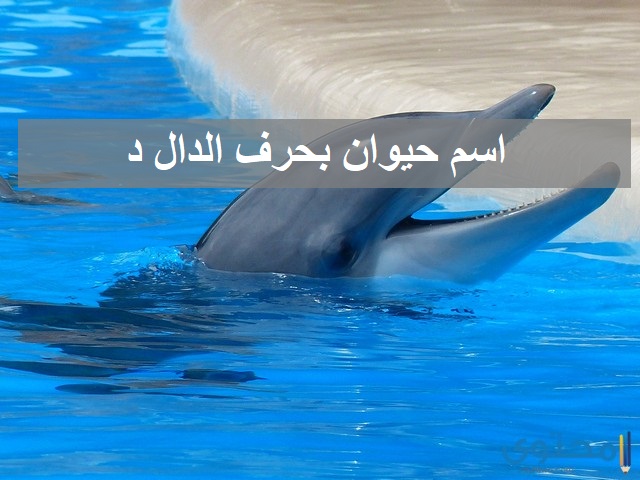 حيوان بحرف الدال