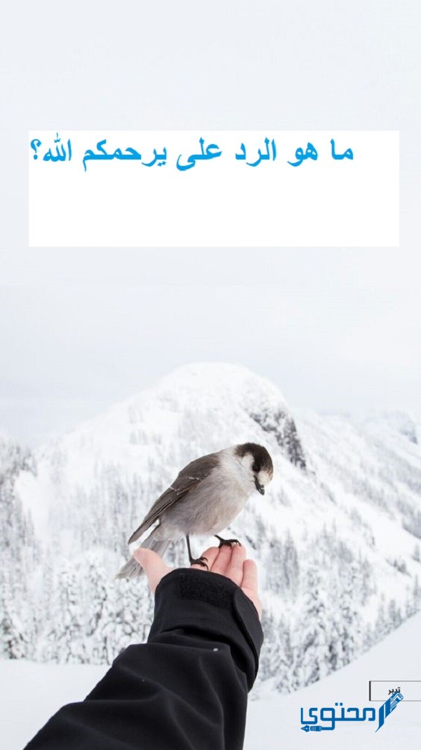 ما هو الرد على يرحمكم الله؟