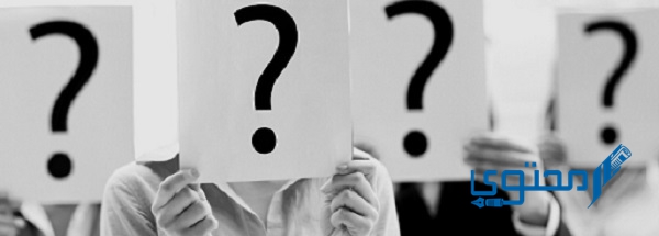 ما هي المعاونة في تحمل أعباء الحكم