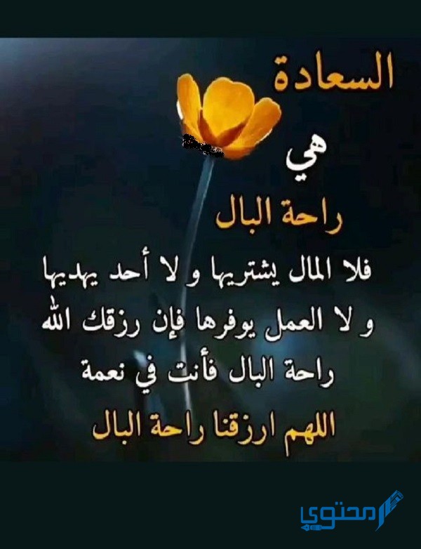 بوستات عن السعادة بالصور والعبارات