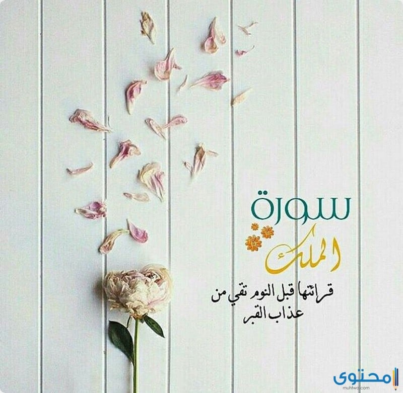 فضل تلاوة سورة الملك