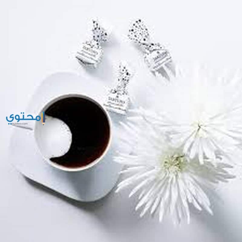 اللون الأبيض في المنام