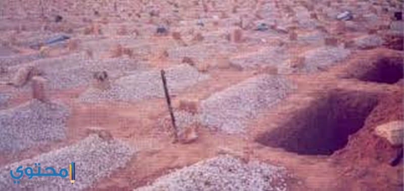 القبر في المنام