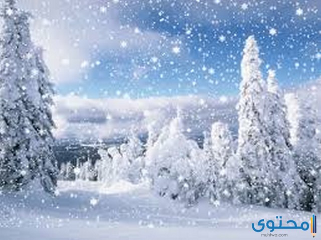 رؤية الثلج في المنام