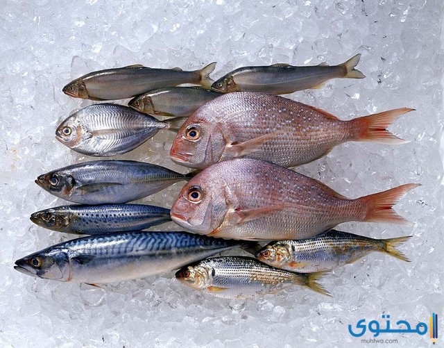 شخص يعطيني سمك في المنام