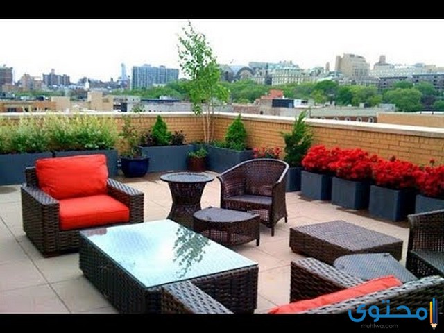 السطح في المنام