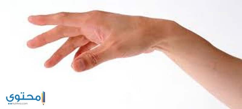 اليد في المنام للرجل