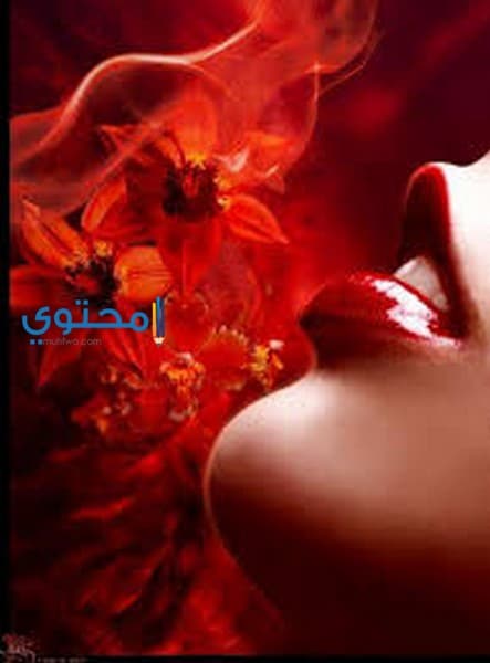 اللون الأحمر في المنام