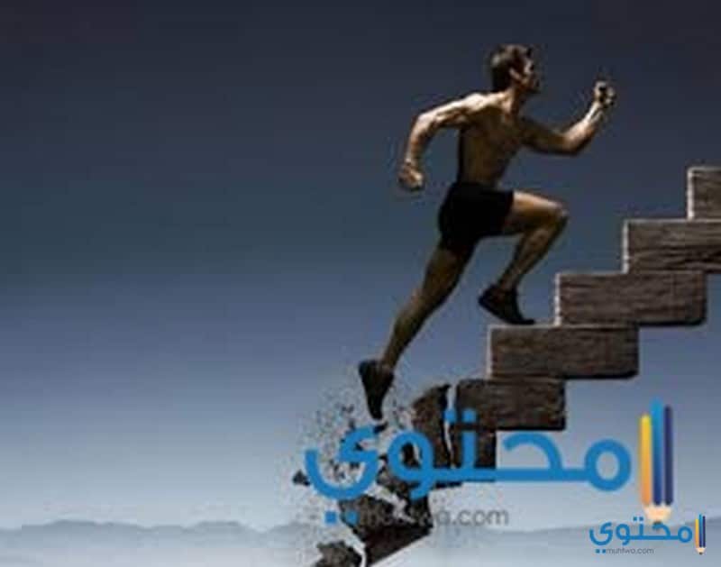 السلم في المنامر