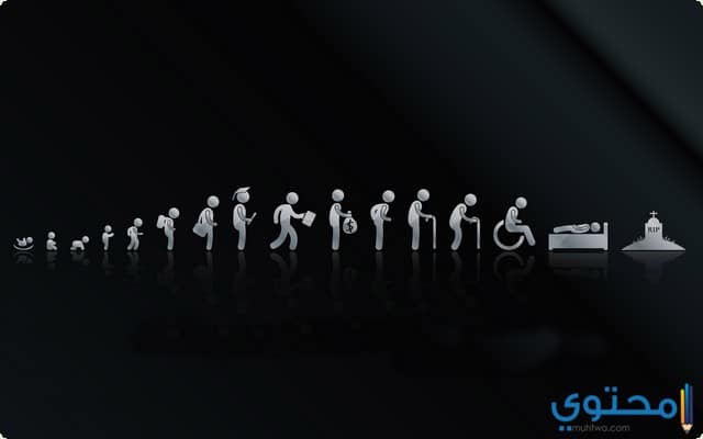 أقوال عن الدنيا