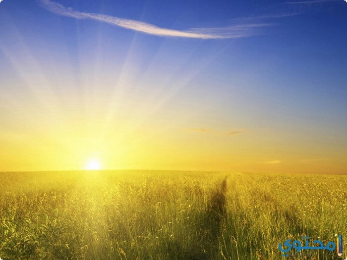 خواطر وأشعار للصباح رائعة